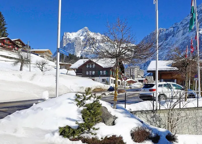 Apartment Chalet Perle By Interhome Grindelwald