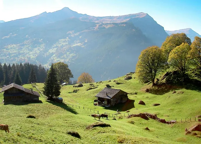 Apartment Apartment Chalet Perle By Interhome